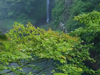 回顧の吊橋