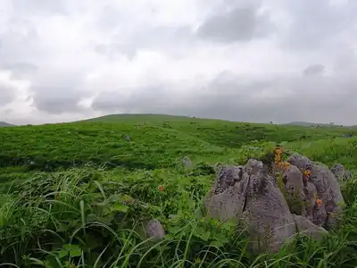 秋吉台
