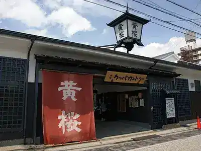 キザクラカッパカントリー