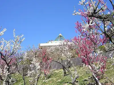 須磨浦山上遊園
