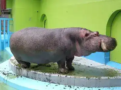 おびひろ動物園