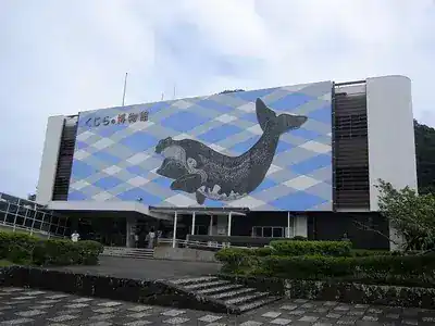 くじらの博物館