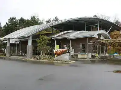 なぎビカリアミュージアム