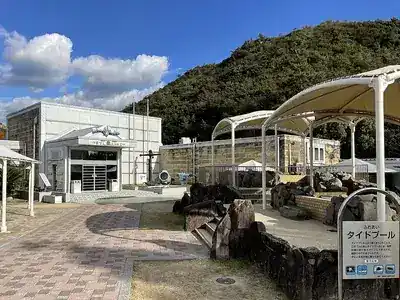 玉野市立玉野海洋博物館