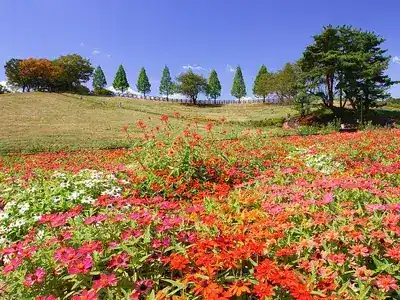 鞍ケ池公園