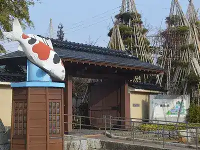 小千谷市錦鯉の里