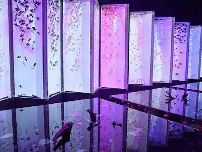 アートアクアリウム美術館 GINZA