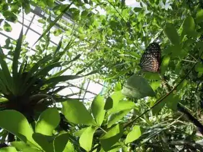 足立区生物園