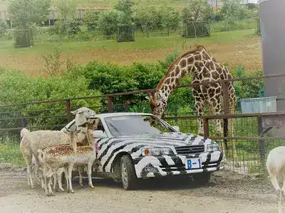 東北サファリパーク