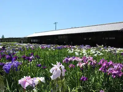 加茂荘花鳥園