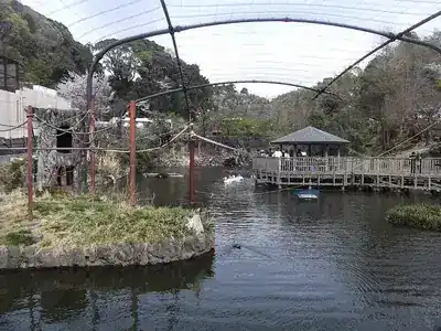 日本平動物園