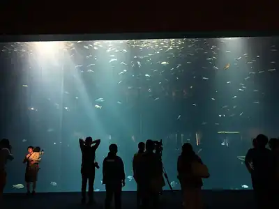 四国水族館