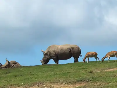 九州自然動物公園アフリカンサファリ