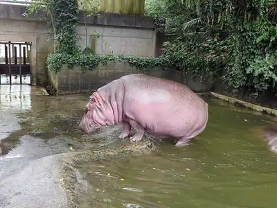 沖縄こどもの国