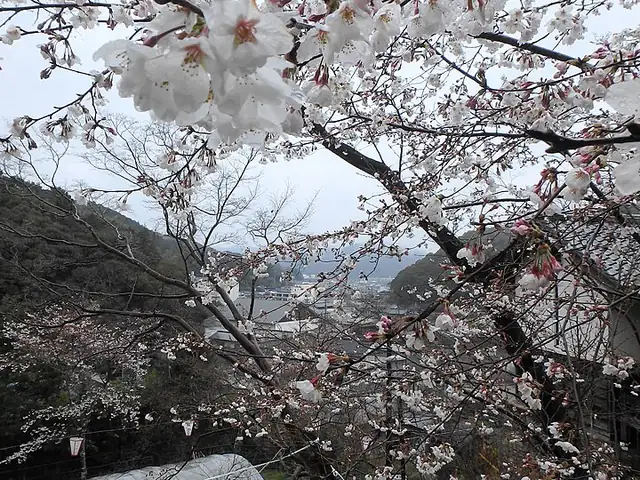牧野公園（佐川町）