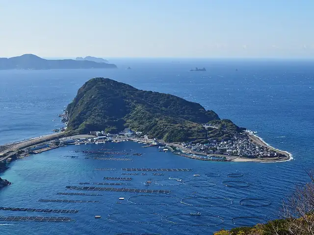 柏島