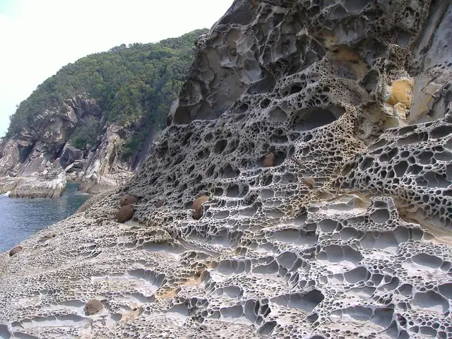 竜串グラスボート・見残し海岸