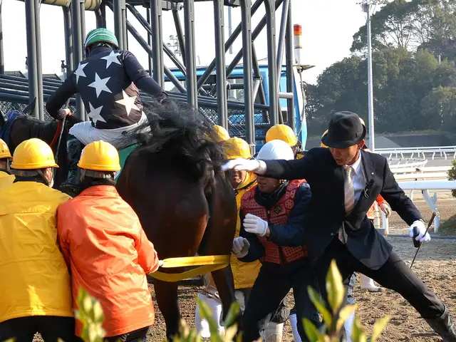 バババパーク（高知競馬場）
