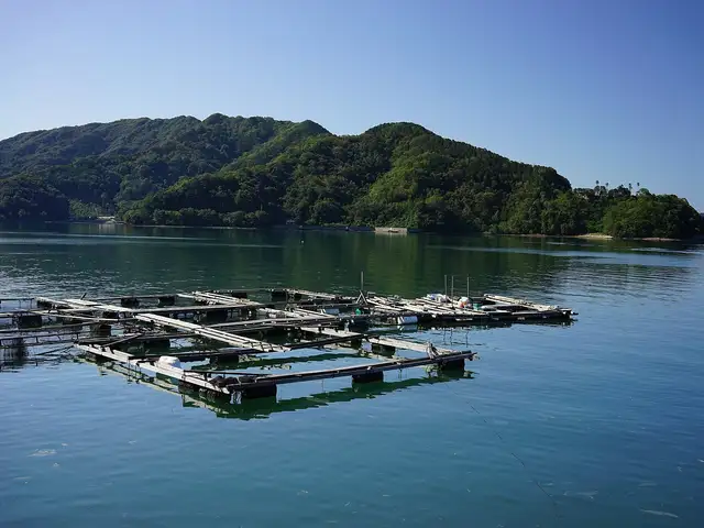 浦ノ内遊具公園