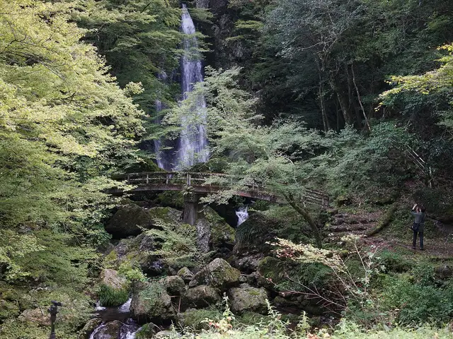 フォレストアドベンチャー・高知