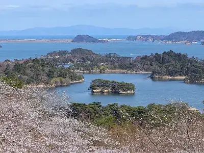 松島島巡り観光船 仁王丸コース
