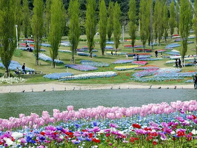 国営明石海峡公園