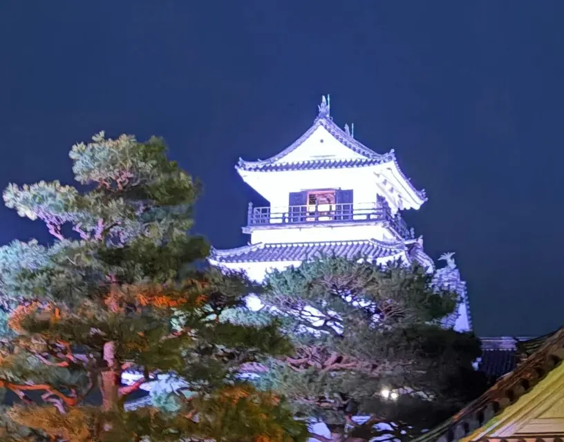 高知城天守・懐徳館 夜間特別開館の写真