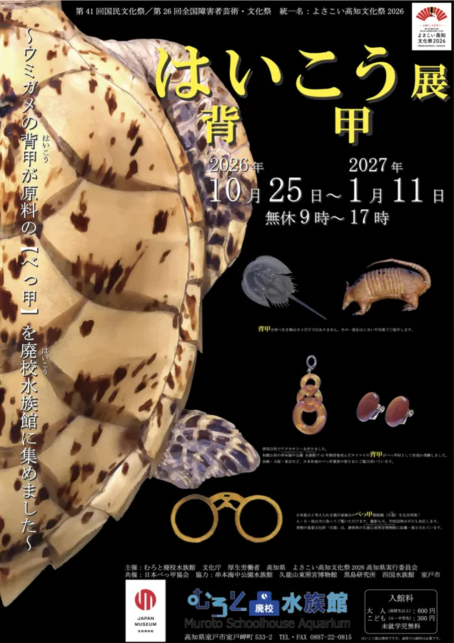はいこう展（べっ甲）のチラシ