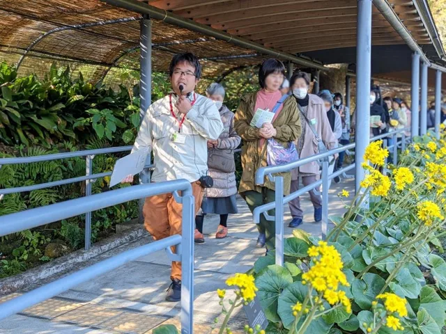 まきのガイドウォークのチラシ