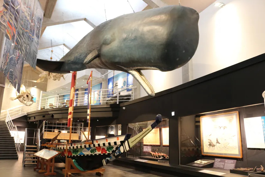キラメッセ室戸 鯨館 企画展の写真