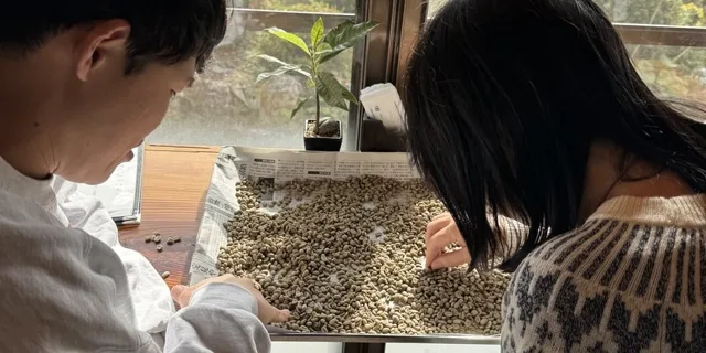 スペシャルティコーヒー豆500gの焙煎体験のチラシ