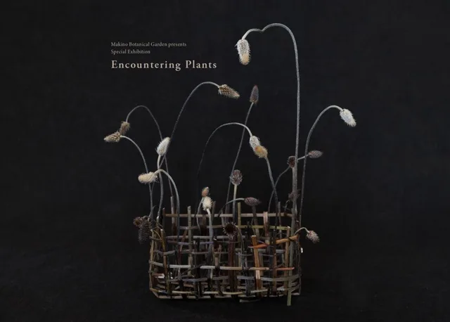 岩谷雪子作品展「草木と出会う−Encountering Plants」のチラシ