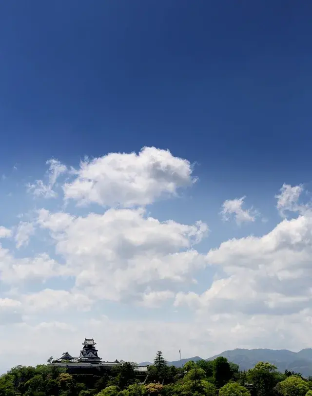 企画展「高知の空をみる」のチラシ