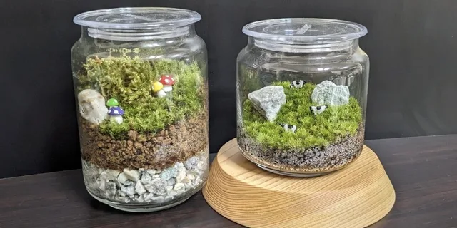 苔テラリウム作りのチラシ