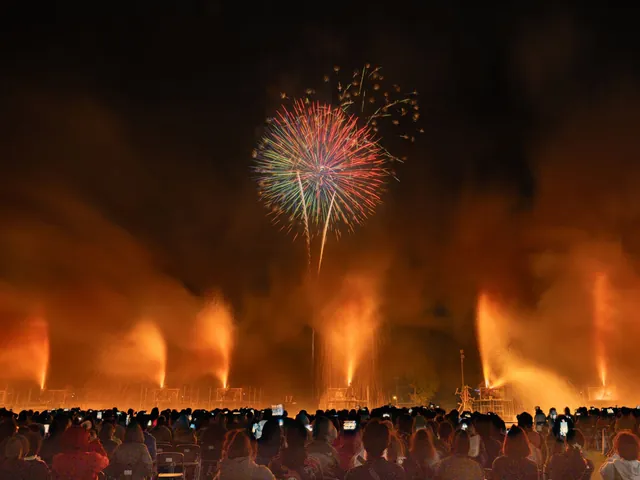 豊橋炎の祭典（公式サイトの写真）