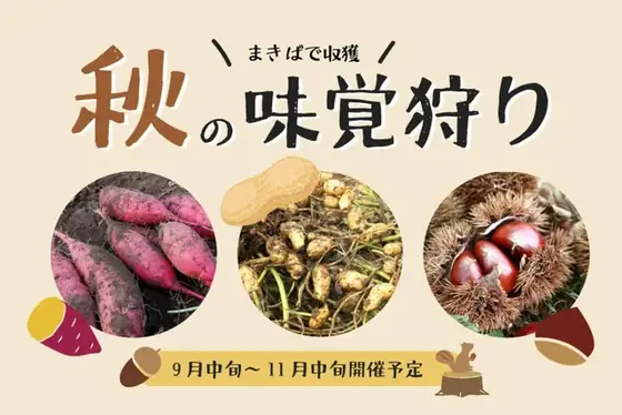 成田ゆめ牧場 落花生掘り（公式サイトの写真）