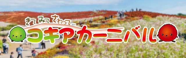 国営ひたち海浜公園 コキア（公式サイトの写真）