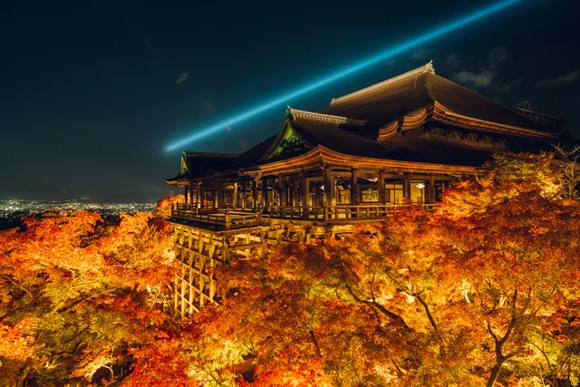清水寺 秋の夜間特別拝観（公式サイトの写真）