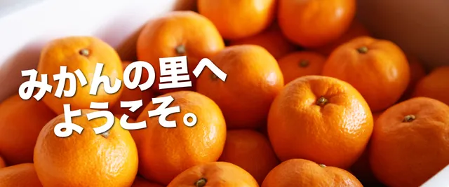 上の太子観光みかん園 みかん狩り（公式サイトの写真）