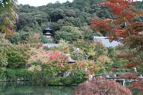 永観堂 ライトアップ（公式サイトの写真）