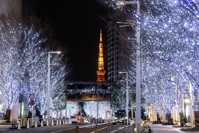 ROPPONGI HILLS CHRISTMAS 2026（公式サイトの写真）