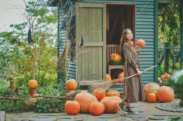神戸布引ハーブ園 ハロウィンフェア2026（公式サイトの写真）