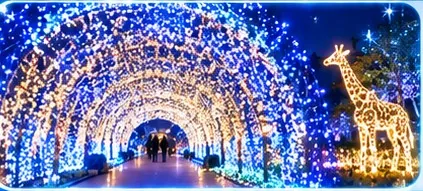 東武動物公園 イルミネーション（イメージイラスト）