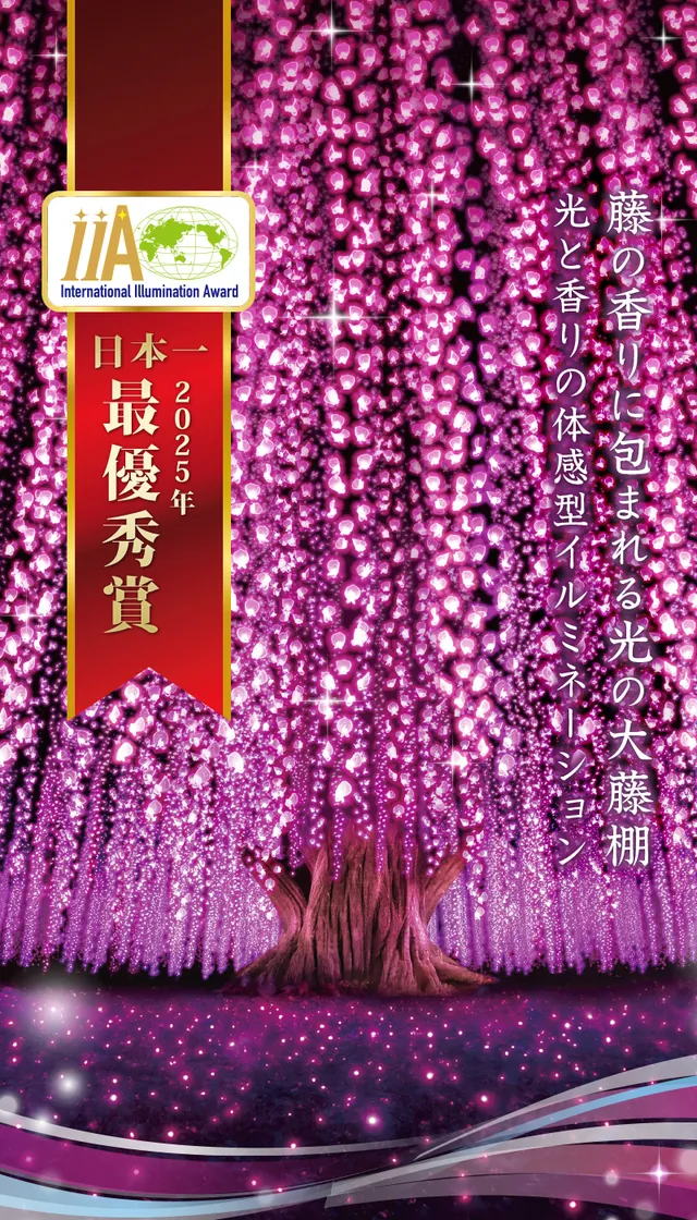 あしかがフラワーパーク イルミネーション（公式サイトの写真）